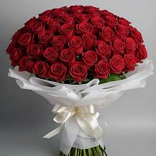 Букет 101 Красная роза Блэк Мэджик в Таёжном