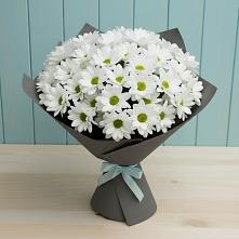 Букет цветов из:  Хризантемы #REPLACE_PRED# Таёжном