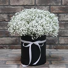 Цветочная композиция из Гипсофила в шляпной коробке #REPLACE_PRED# Таёжном