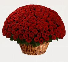 Премиум букет из: Розы в Таёжном