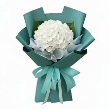 Букет цветов из:  Гортензия #REPLACE_PRED# Таёжном